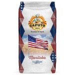 FARINA CAPUTO MANITOBA KG 25