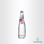 SAN BENEDETTO VETRO NATURALE CL 25 X 24 BOTT