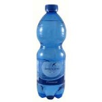 SAN BENEDETTO PET GASSATA DA 0,500 PER 24 BOTT